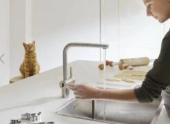 Franke Atlas Neo - Elektronische Spültischarmatur FC 5489. 501, Edelstahl 115.0625.489 -Küchenarmaturen Verkauf 93d951e6b023bdc5a5725ca5